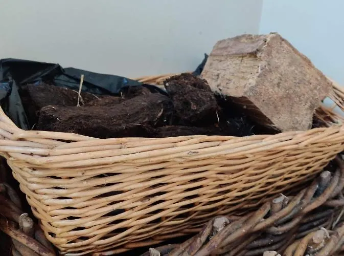 Semesterbostad Pat Tadys *